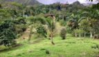 Hermosa Finca en Tierra Caliente con tres escrituras, se vende total el área o independiente 108 imagen