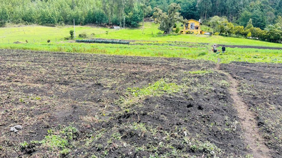 WhatsApp Image 2024 11 27 at 21.24.05 1