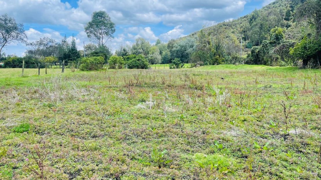 WhatsApp Image 2024 11 27 at 21.24.06 2