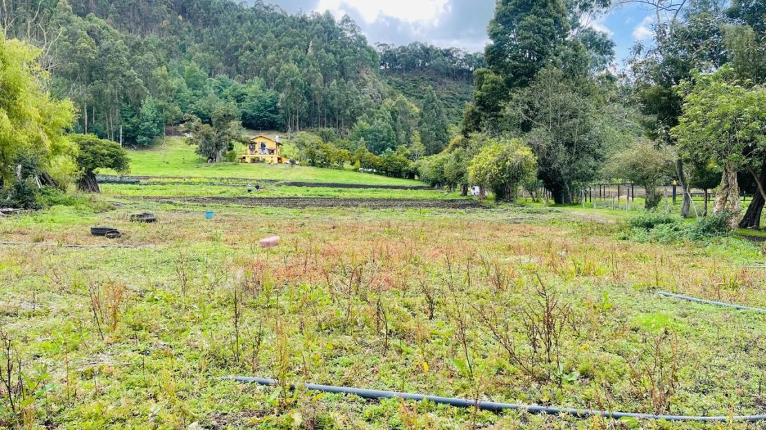 WhatsApp Image 2024 11 27 at 21.24.06 3