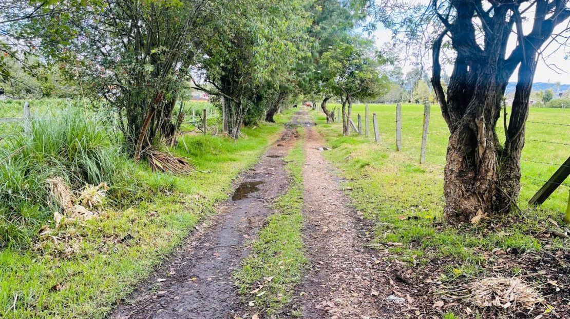 WhatsApp Image 2024 11 27 at 21.24.06 4