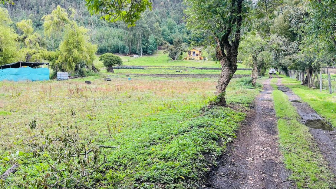 WhatsApp Image 2024 11 27 at 21.24.06 5