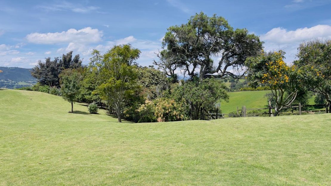 WhatsApp Image 2025 08 22 at 12.28.49 1