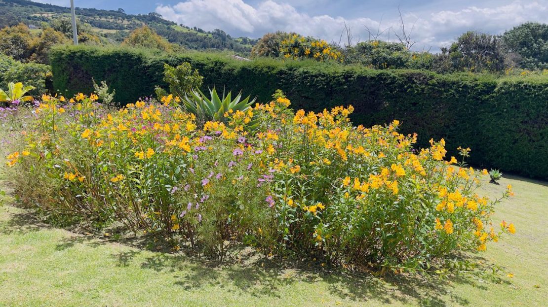 WhatsApp Image 2025 08 22 at 12.28.55 4