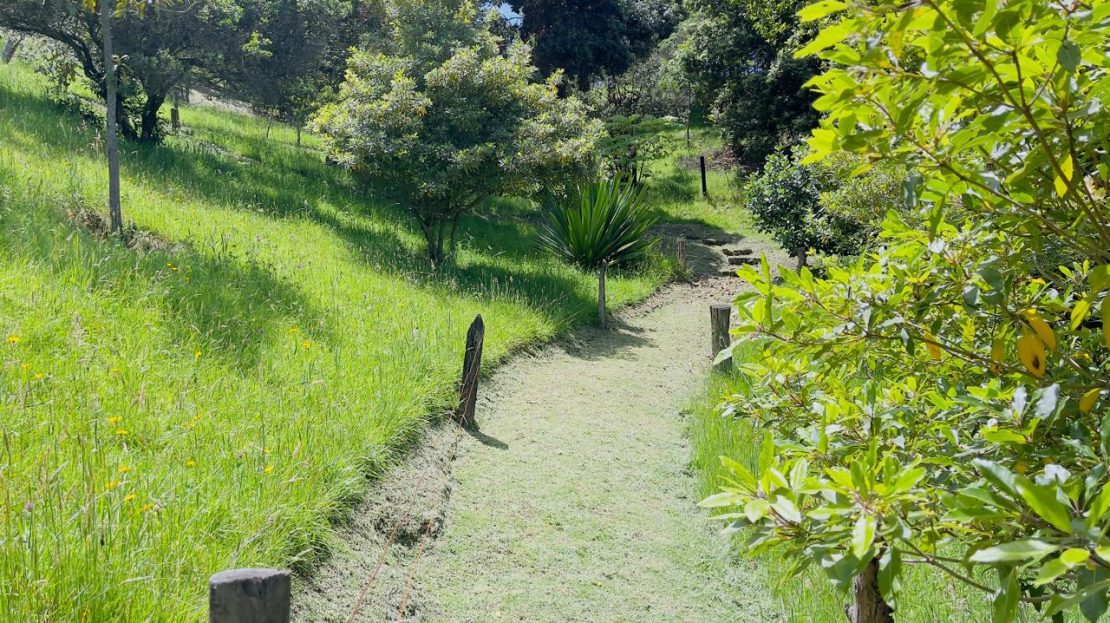 WhatsApp Image 2025 08 22 at 12.28.57