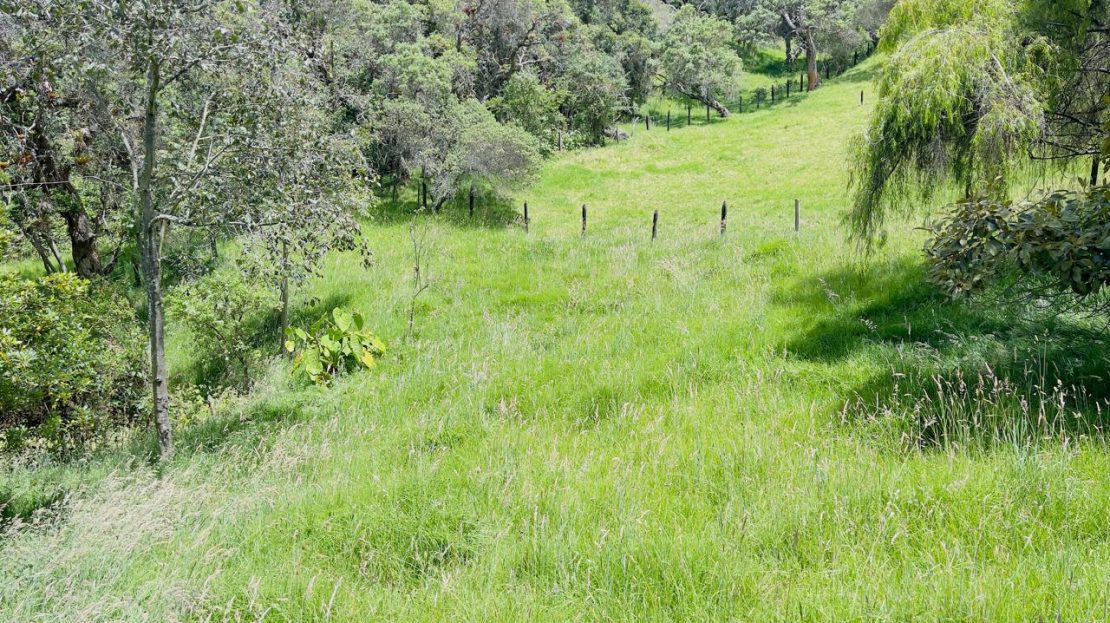 WhatsApp Image 2025 08 22 at 12.28.57 2