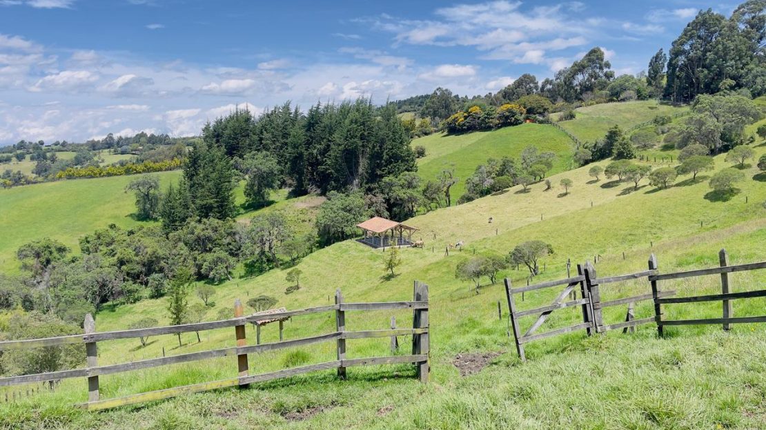 WhatsApp Image 2025 08 22 at 12.28.59