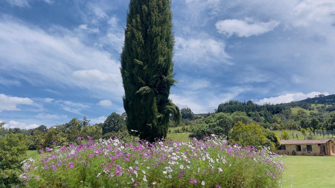 WhatsApp Image 2025 08 22 at 12.29.05