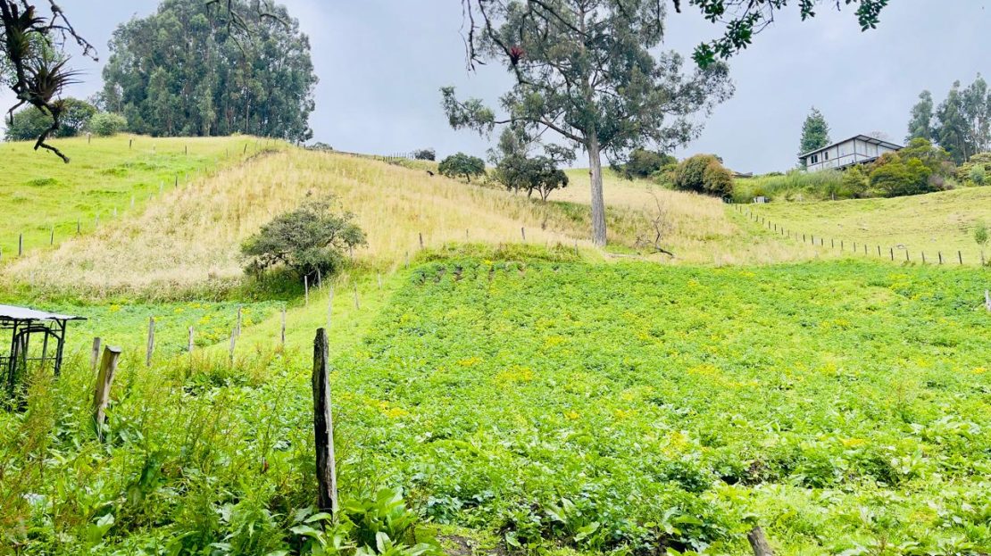 WhatsApp Image 2025 09 16 at 12.29.33 PM