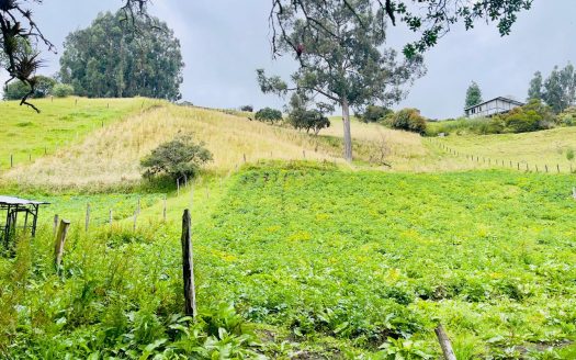 WhatsApp Image 2025 09 16 at 12.29.33 PM