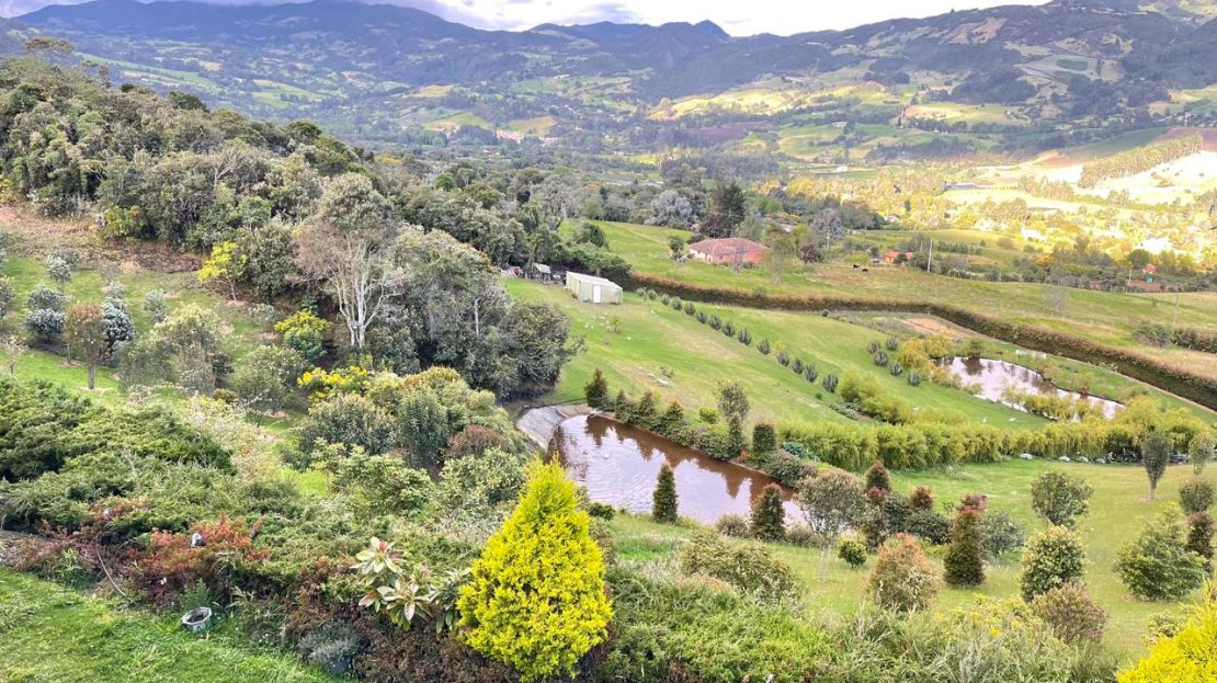 WhatsApp Image 2025 10 13 at 10.48.04 17