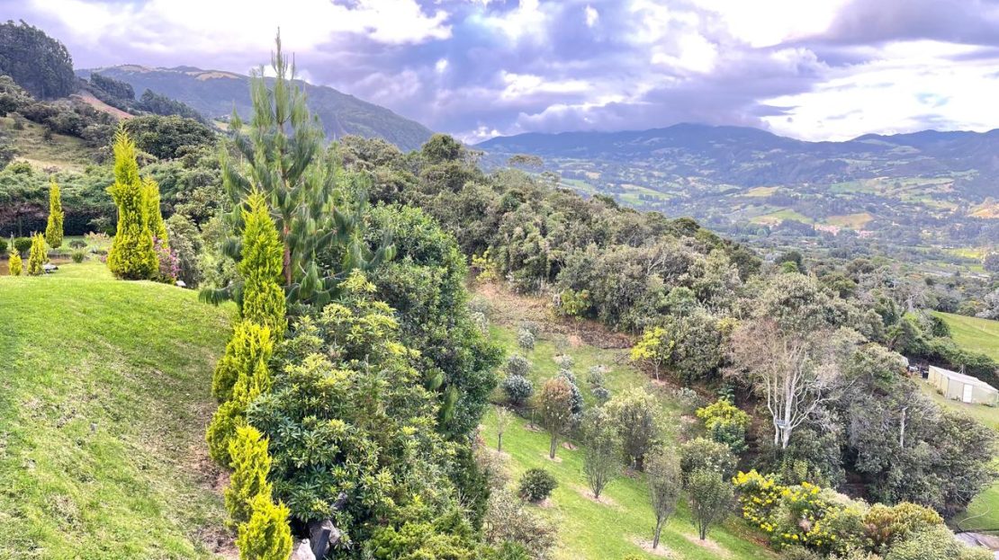 WhatsApp Image 2025 10 13 at 10.48.04 18