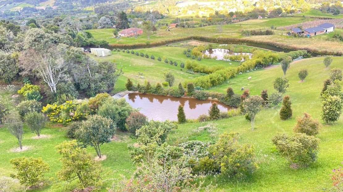 WhatsApp Image 2025 10 13 at 10.48.04 19