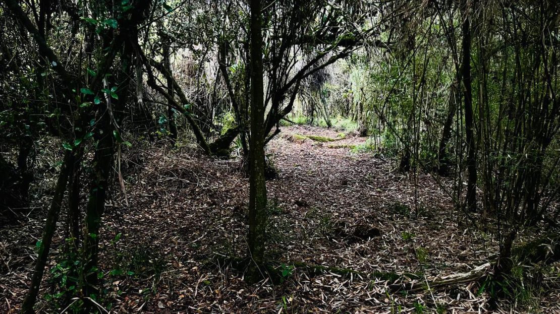 WhatsApp Image 2025 10 13 at 12.36.24 PM 2