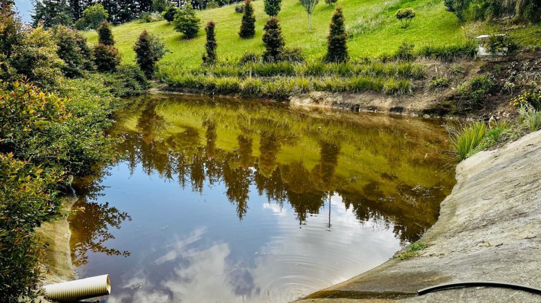 WhatsApp Image 2025 10 13 at 12.36.25 PM 1