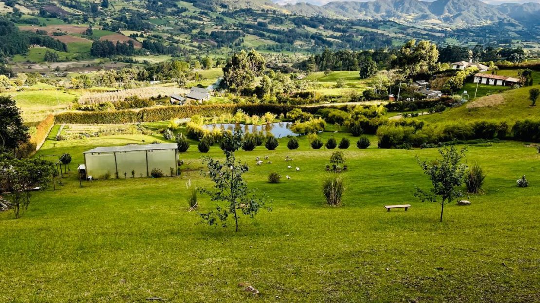 WhatsApp Image 2025 10 13 at 12.36.25 PM 2