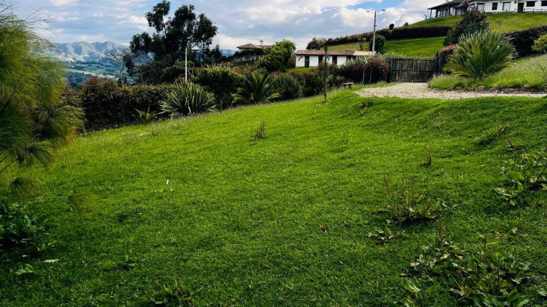 WhatsApp Image 2025 10 13 at 12.36.27 PM