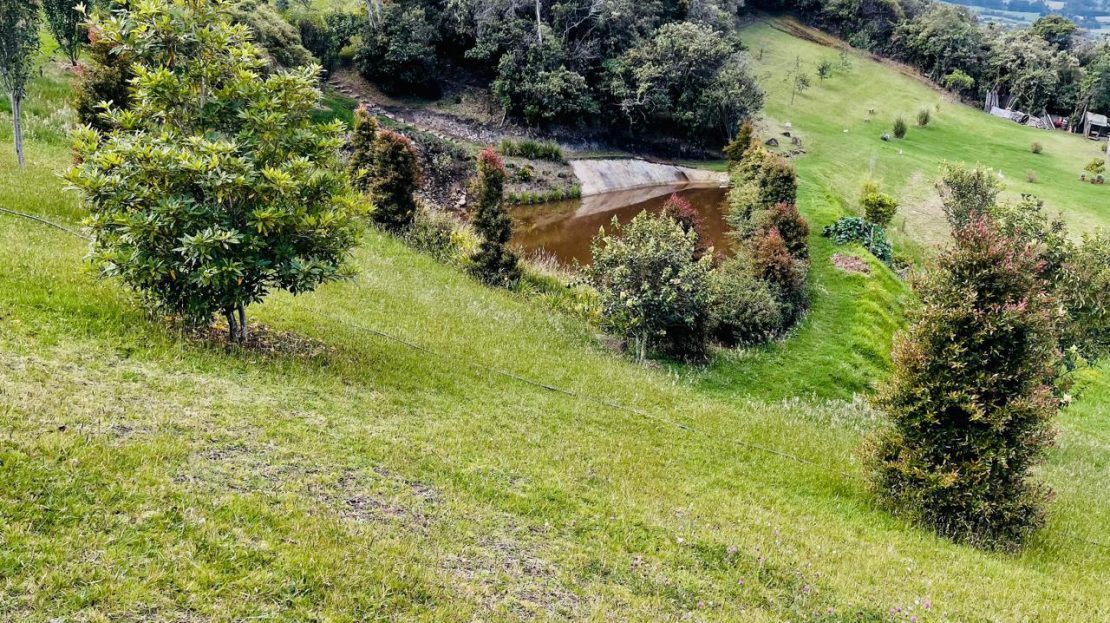 WhatsApp Image 2025 10 13 at 12.36.28 PM 1