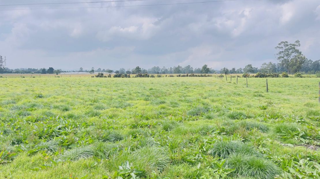 WhatsApp Image 2025 10 16 at 19.35.05 11