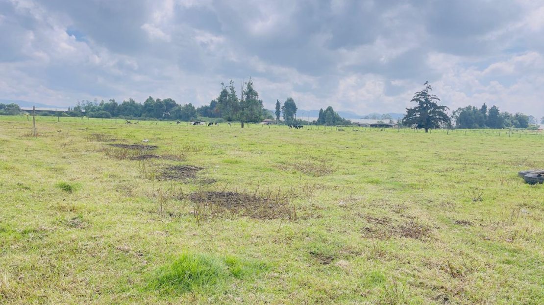 WhatsApp Image 2025 10 16 at 19.35.05