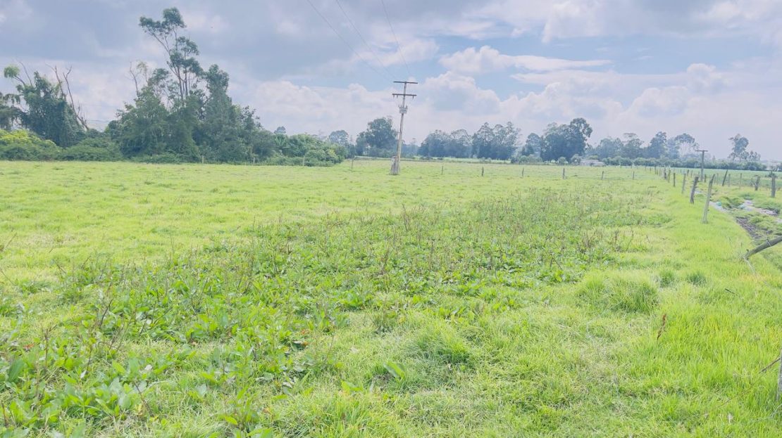 WhatsApp Image 2025 10 16 at 19.35.05 14