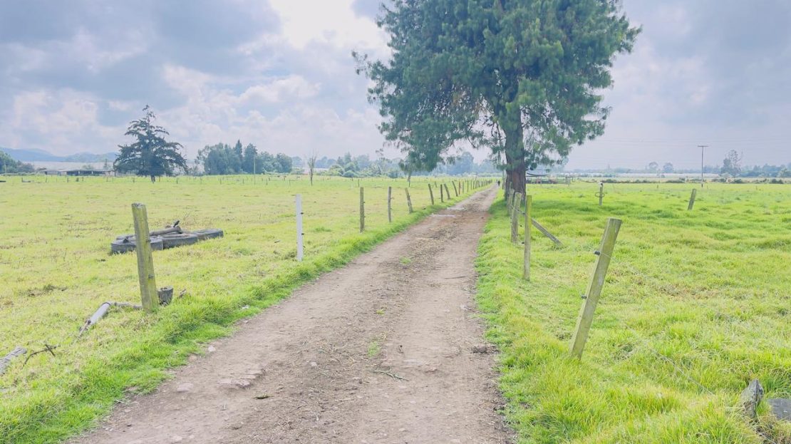 WhatsApp Image 2025 10 16 at 19.35.05 2