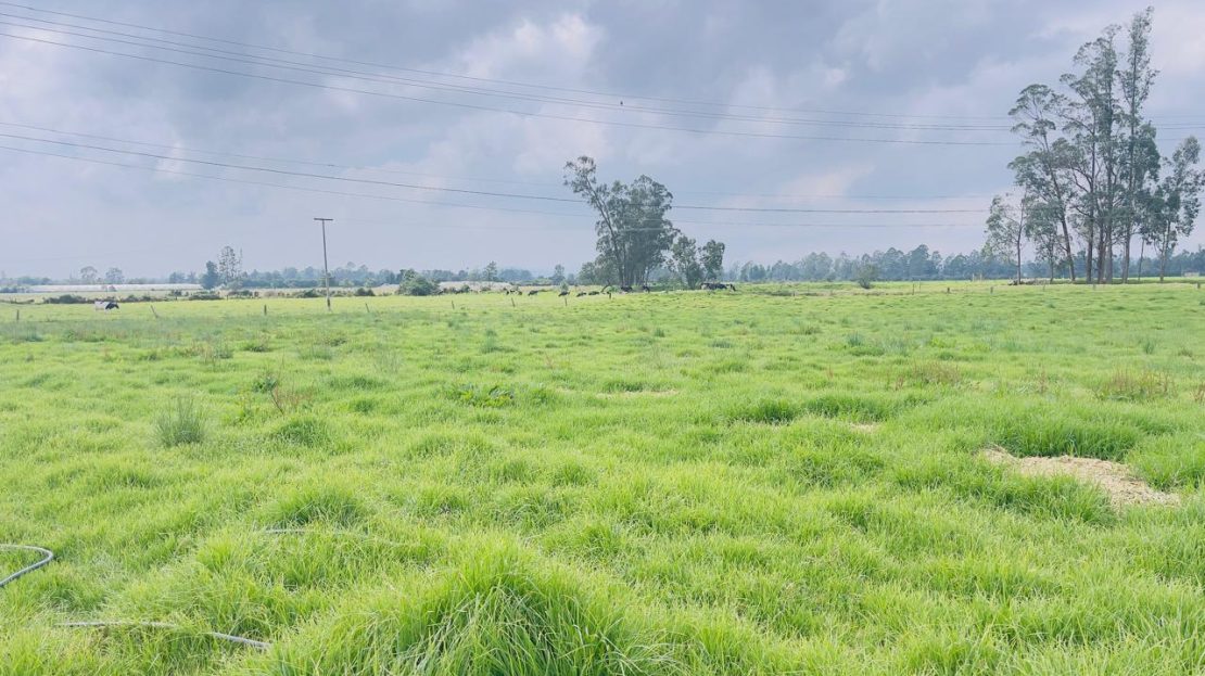 WhatsApp Image 2025 10 16 at 19.35.05 3