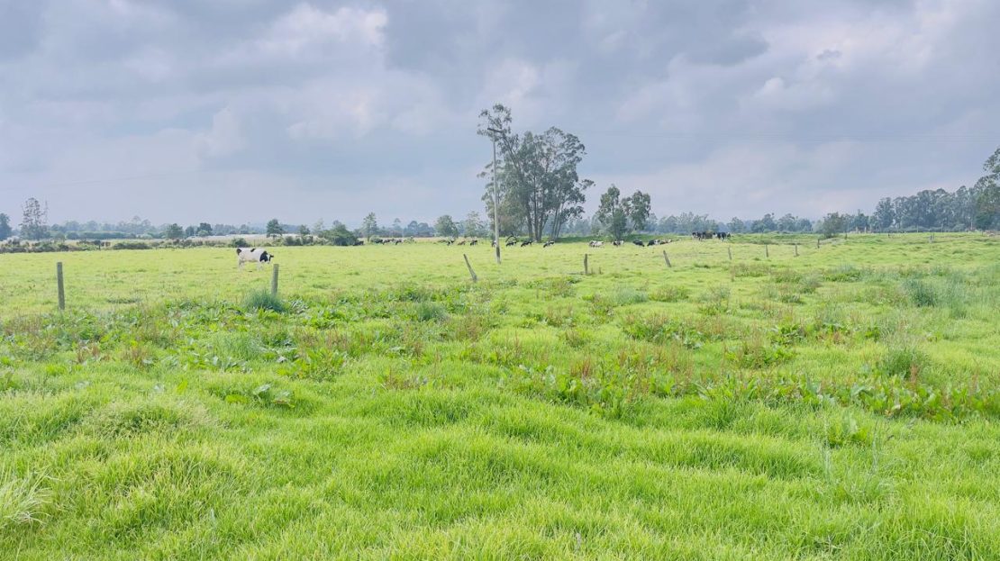 WhatsApp Image 2025 10 16 at 19.35.05 6