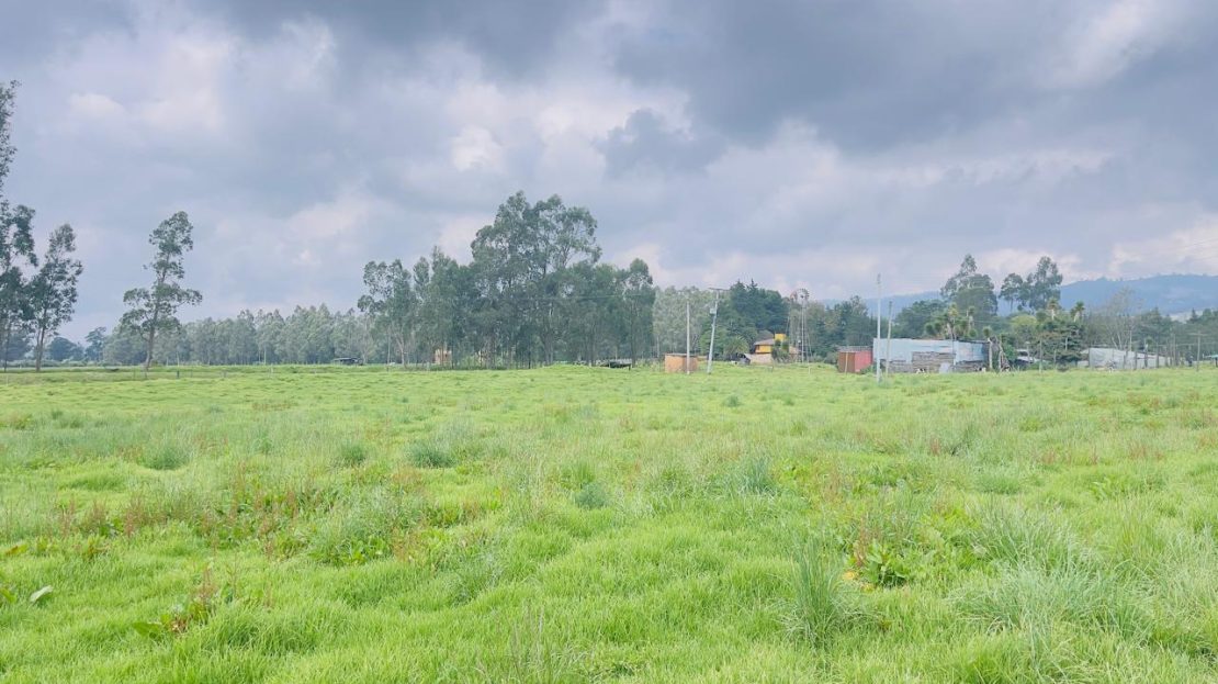 WhatsApp Image 2025 10 16 at 19.35.05 7