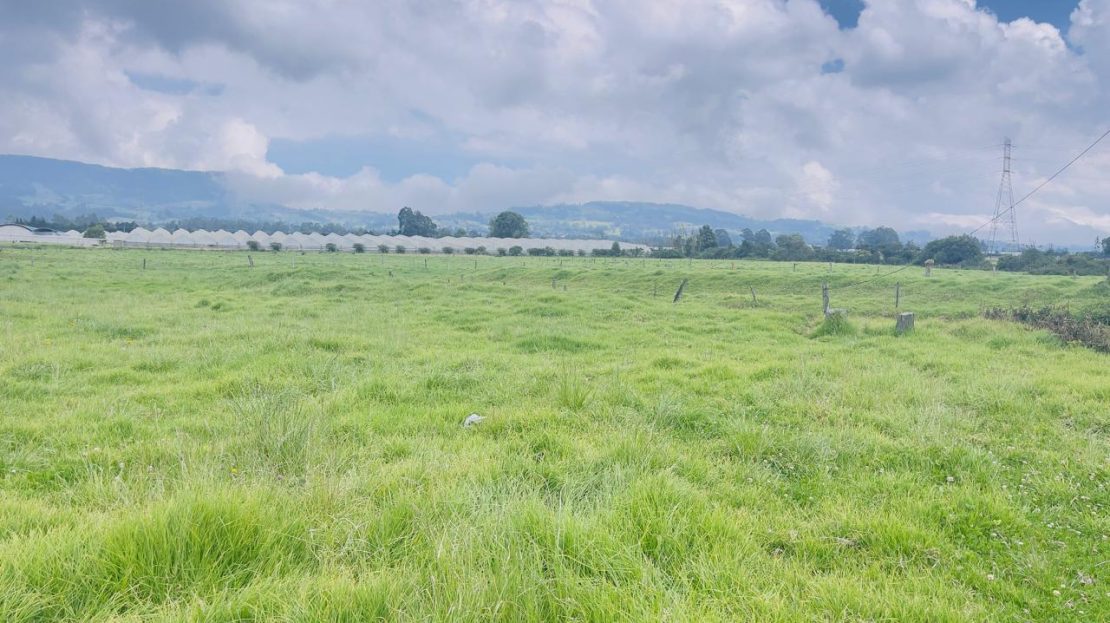 WhatsApp Image 2025 10 16 at 19.35.06 11