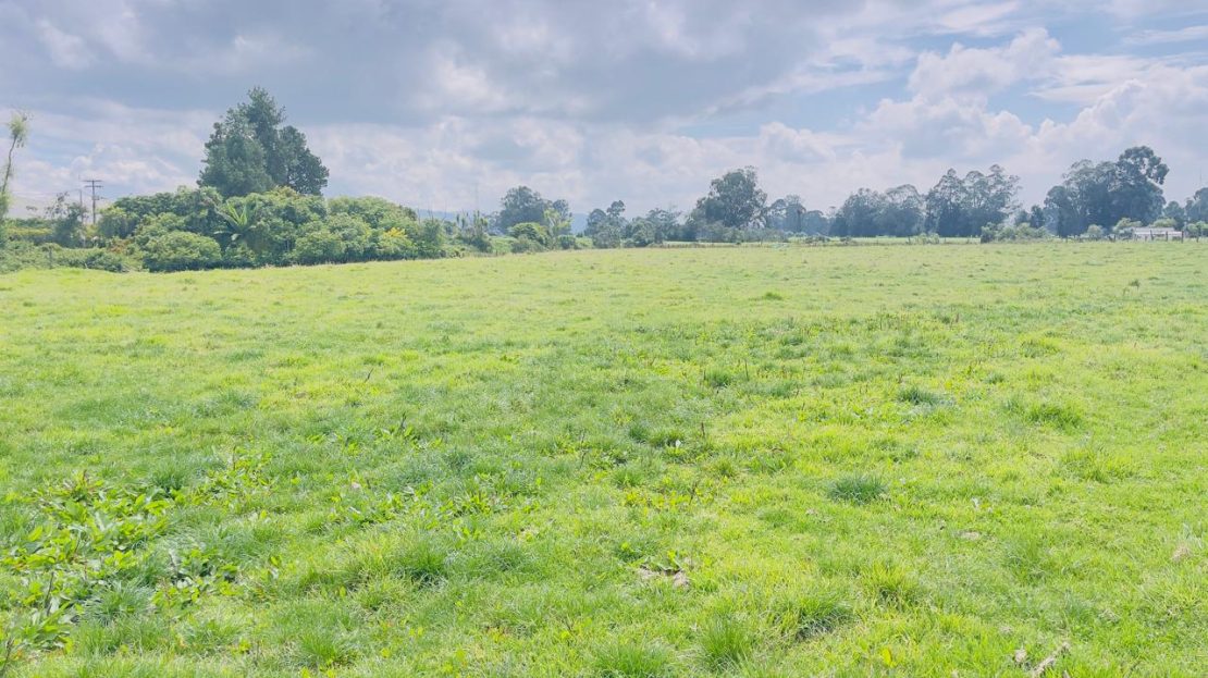 WhatsApp Image 2025 10 16 at 19.35.06