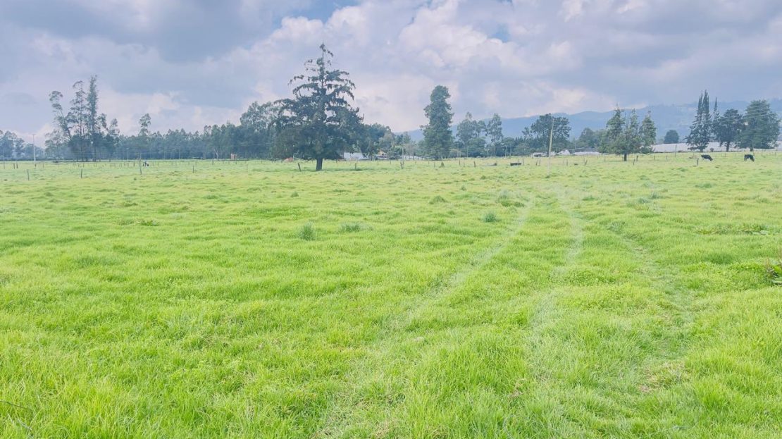 WhatsApp Image 2025 10 16 at 19.35.06 12