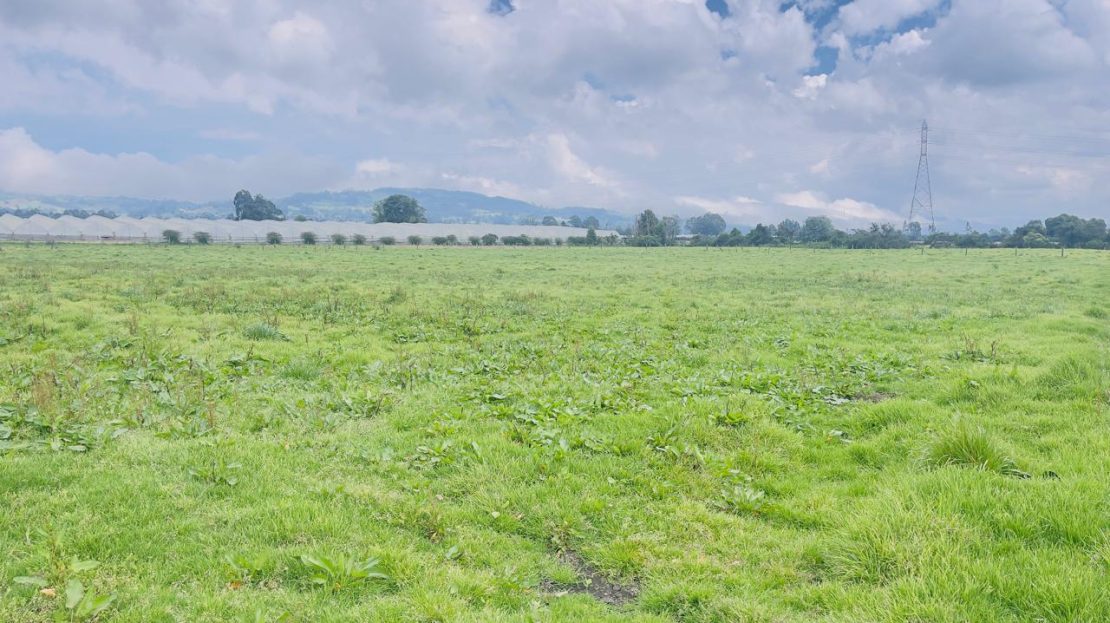 WhatsApp Image 2025 10 16 at 19.35.06 13