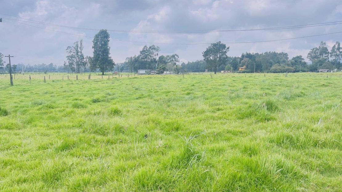 WhatsApp Image 2025 10 16 at 19.35.06 16