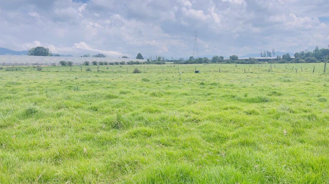 WhatsApp Image 2025 10 16 at 19.35.06 17