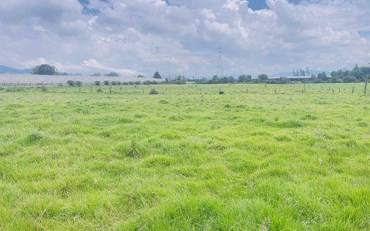 WhatsApp Image 2025 10 16 at 19.35.06 17