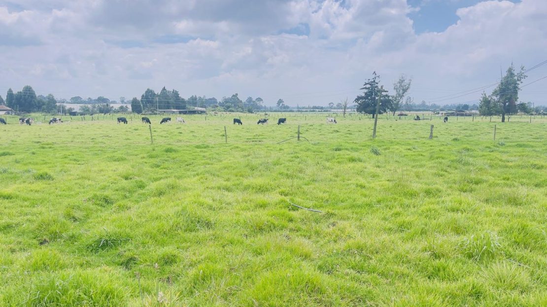 WhatsApp Image 2025 10 16 at 19.35.06 18