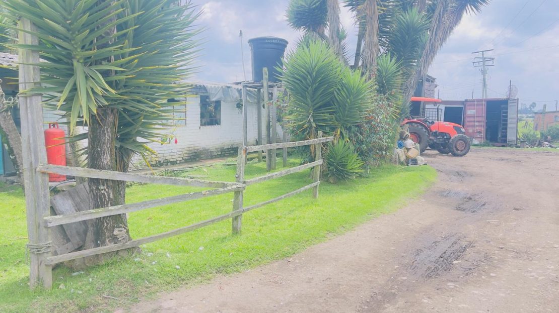 WhatsApp Image 2025 10 16 at 19.35.06 19