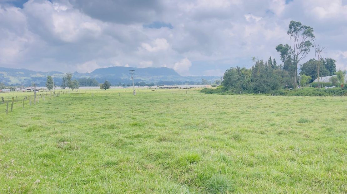 WhatsApp Image 2025 10 16 at 19.35.06 5