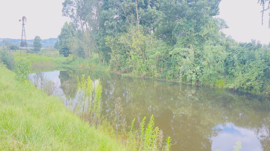 WhatsApp Image 2025 10 16 at 19.35.06 6