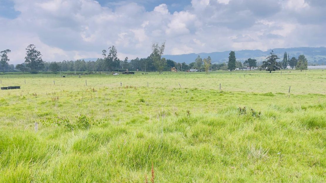 WhatsApp Image 2025 10 16 at 19.35.06 9