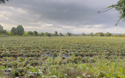 WhatsApp Image 2025 10 16 at 19.38.07 1