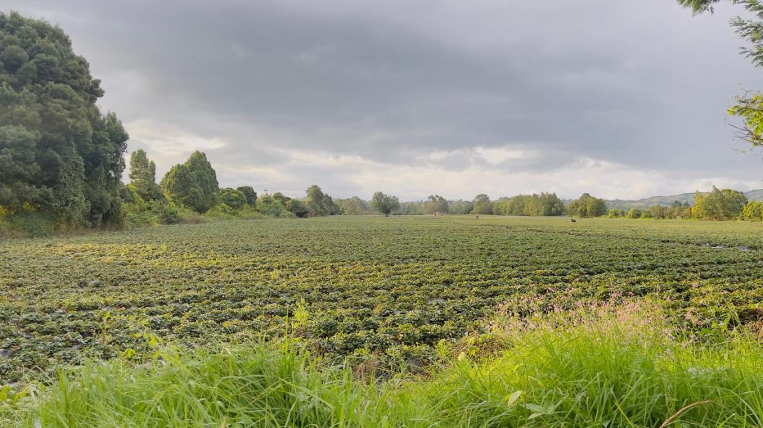 WhatsApp Image 2025 10 16 at 19.38.07