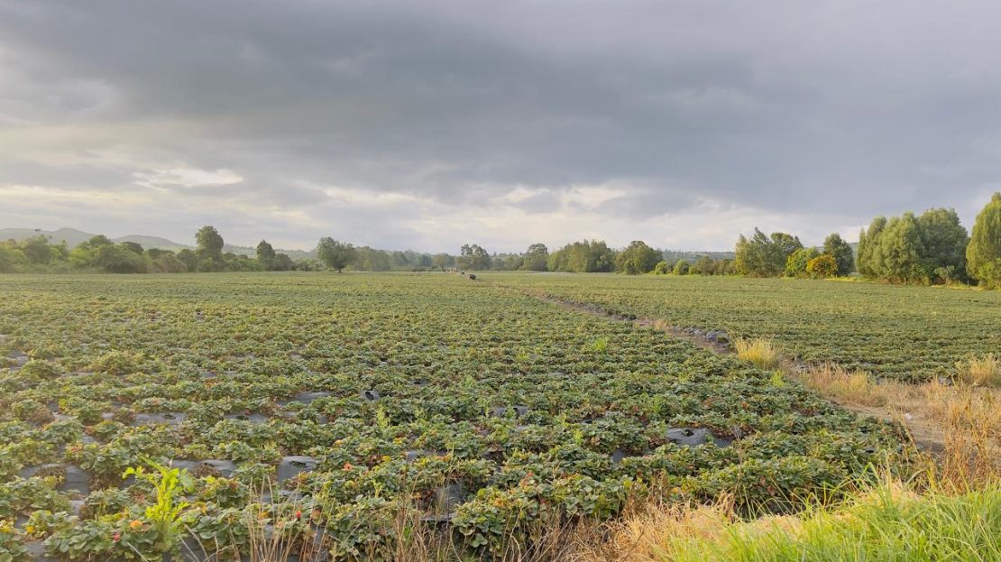 WhatsApp Image 2025 10 16 at 19.38.07 2